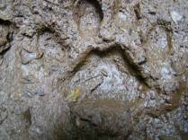 Pegada de onça na trilha da Teminina, no PETAR